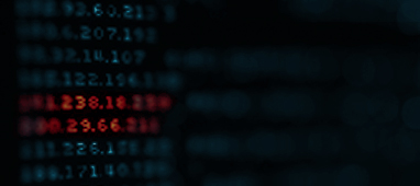 IP и DNS